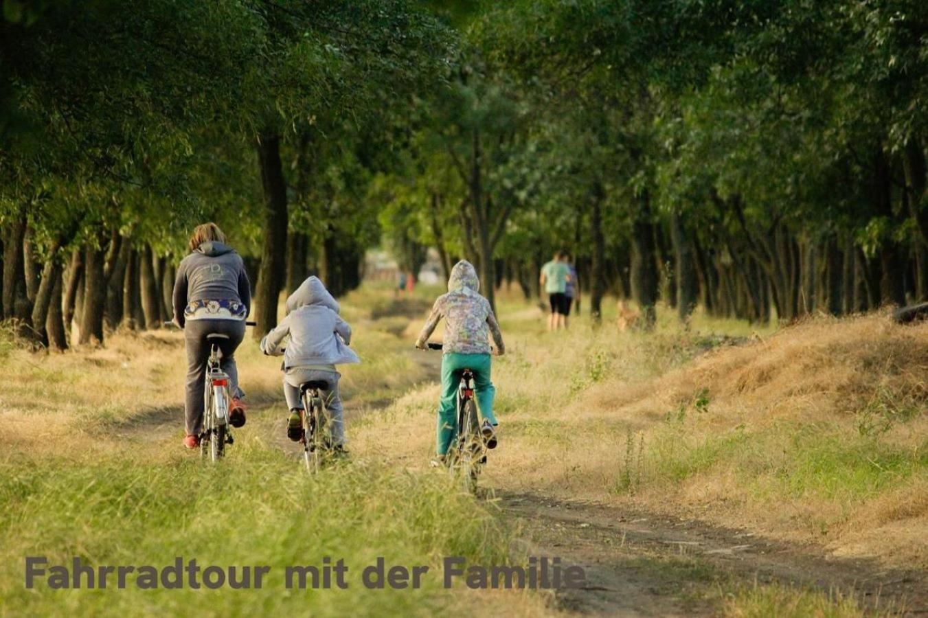 "Lilie" In Geestland-Langen, Ideal Fuer Familien & Homeoffice - Wlan & Parkplatz - 3 Zimmer, Balkon - Nahe Bremerhaven Extérieur photo
